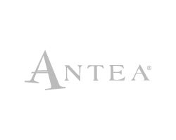 Antea Immobiliare